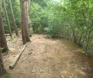 Oud Heverlee - 27-06-2021 (27)