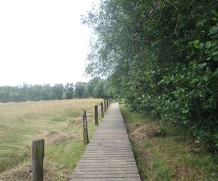 Oud Heverlee - 27-06-2021 (39)