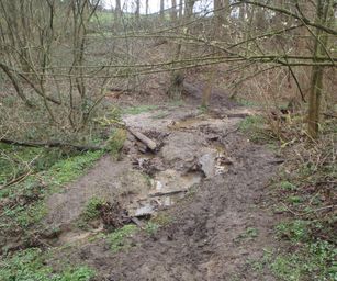 25-03-2023 - Buissenal (34)