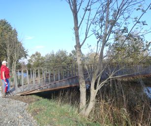Wetteren - 31-10-2020 (26)