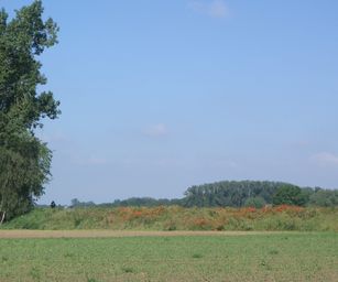 Haacht - 06-06-2021 (14)