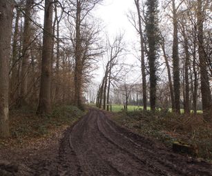 04-02-2023 - Borsbeke (8)