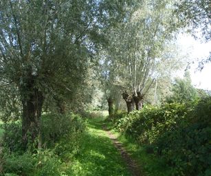 27-08-2023 - Laarne (16)