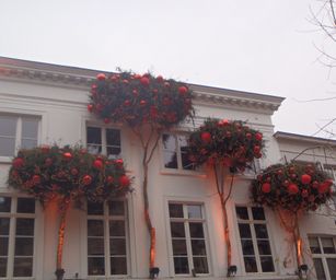 23-01-2022 - Brugge (20)