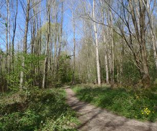 18-04-2022 - La Hulpe  (8)