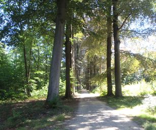 Oud Heverlee - 23-07-2020 (7)