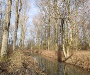 De Pinte - 09-01-2021 (13)