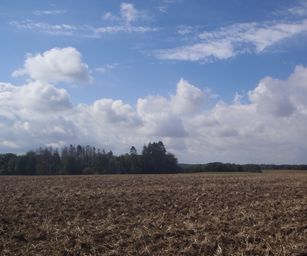 10-09-2022 - Senzeilles (14)