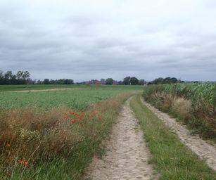 Taviers - 05-07-2020 (20)