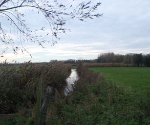 Wetteren - 31-10-2020 (32)