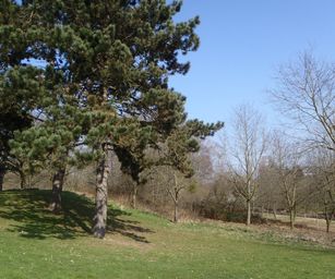 06-03-2022 - Tubize (8)
