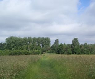 Sint-Pieters-Rode - 19-06-2021 (10)