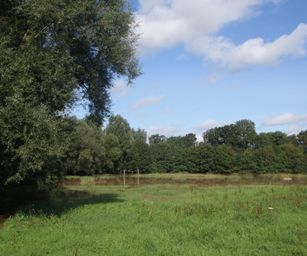 26-08-2023 - Sint-Truiden (6)