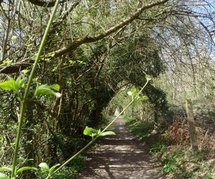 18-04-2022 - La Hulpe  (7)