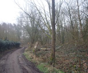 Sint-Niklaas - 27-02-2021 (2)