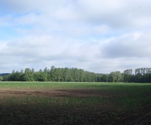 Sint-Pieters-Rode - 19-06-2021 (8)