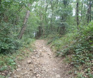 Wanze 11-09-2021 (10)