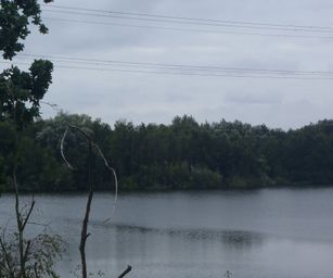Schelle - 29-08-2021 (5)