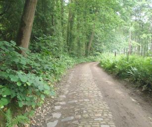 Oud Heverlee - 27-06-2021 (17)