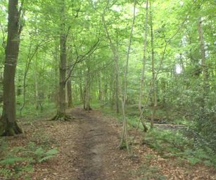 06-06-2022 Binche (16)
