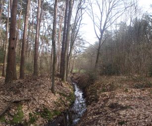 28-03-2023 - Meldert (22)
