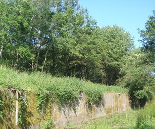Haacht - 06-06-2021 (8)