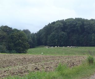 Wanze 11-09-2021 (13)
