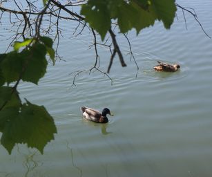 18-04-2022 - La Hulpe  (16)