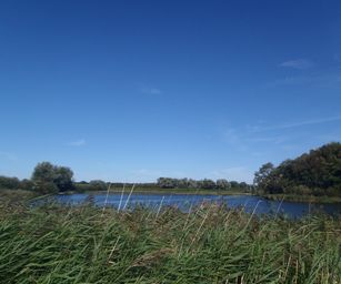24-09-2023 - Groede (14)