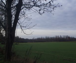 Pellenberg - 13-12-2020 (5)