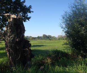 07-09-2023 - Overmere (1)