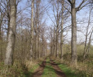 12-04-2022 - Sint-Joris (13)