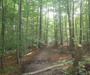 Sint-Pieters-Woluwe  - 19-09-2021 (9)
