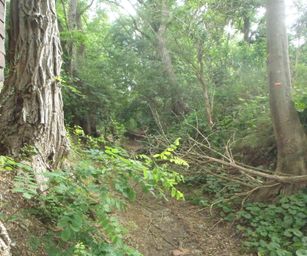 Sint-Pieters-Rode - 19-06-2021 (21)