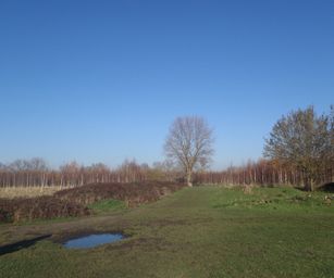 Gentbrugge - 28-11-2020 (15)