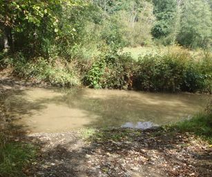 10-09-2022 - Senzeilles (19)