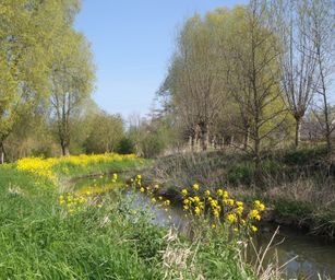 19-04-2023 - Wellen (5)