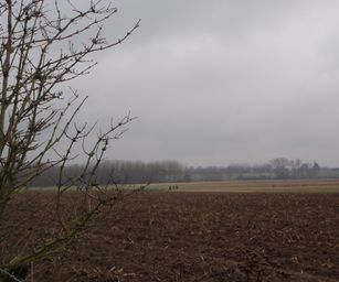 04-02-2023 - Borsbeke (2)