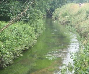 Oud Heverlee - 27-06-2021 (36)
