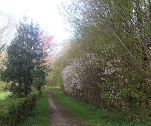 23-04-2023 - Banholt (8)