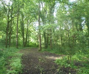 Sint-Pieters-Rode - 19-06-2021 (6)