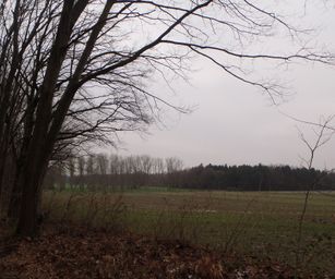 24-01-2023 - Deurne (2)