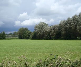 27-08-2023 - Laarne (7)