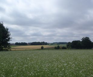 Sint-Pieters-Rode - 19-06-2021 (20)