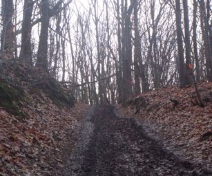 Wezemaal - 20-12-2020 (26)