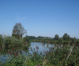 07-09-2023 - Overmere (5)