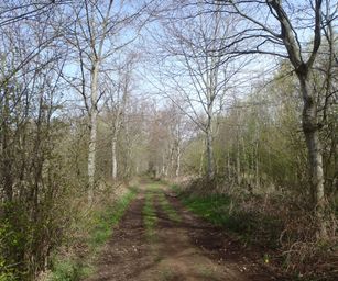 12-04-2022 - Sint-Joris (12)