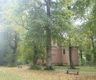 01-10-2022 Tervuren-Bos (10)