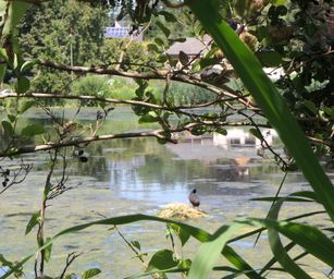 Oud Heverlee - 23-07-2020 (28)