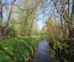 19-04-2023 - Wellen (1)